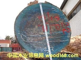 ��ľ��Ԕ��(x��)��B