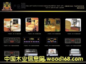 ��������Ԕ��(x��)��B