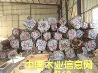 ��ľ��Ԕ����B