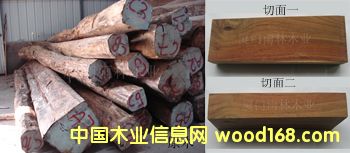 �㻨���Ԕ����B