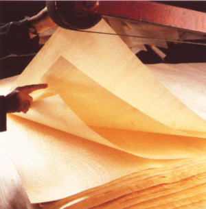 ľ����Ƥ��Ԕ��(x��)��B