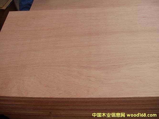 �c���鿴���ǹ��Ŵ�DƬ