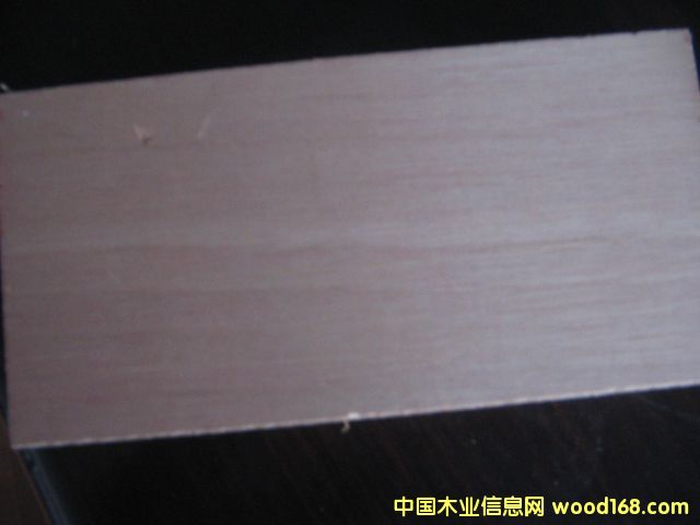 �c���鿴�sľ�z�ϰ�Ŵ�DƬ