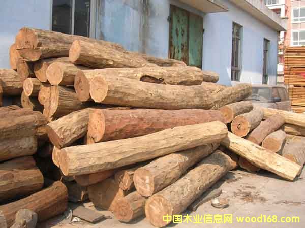 �t̴���Ԕ����B