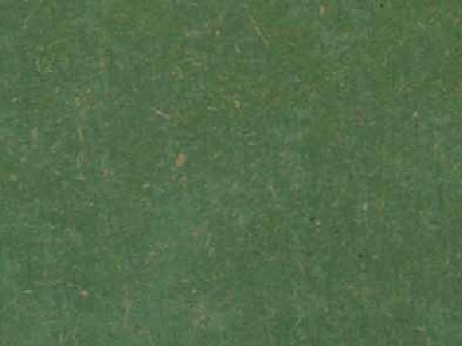 �c(di��n)���鿴ľ��Ⱦɫ���Ŵ�DƬ