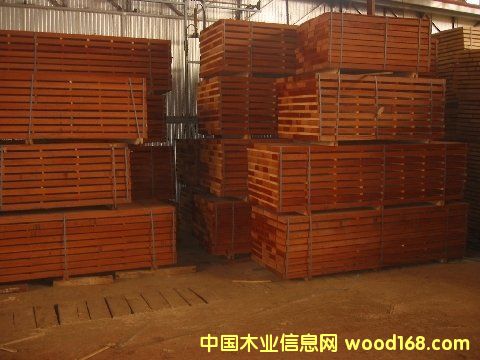 �c(di��n)���鿴ɳ�����Ŵ�DƬ