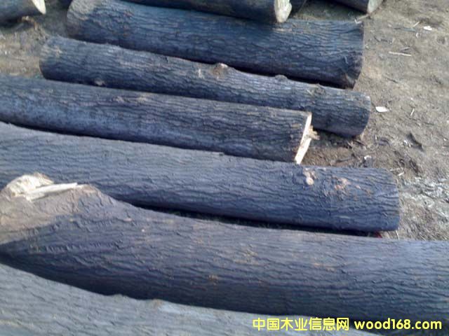 ��ľ���ĵ�Ԕ��(x��)��B