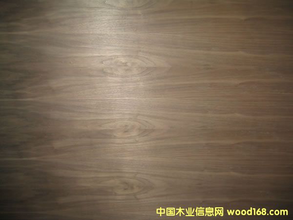 �c(di��n)���鿴�ں��ҷŴ�DƬ