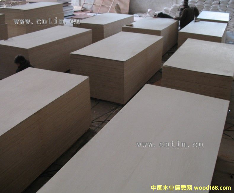 �c(di��n)���鿴ȫ��ľ���ΰ�Ŵ�DƬ