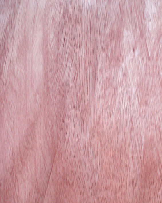 ��ľ��Ԕ��(x��)��B