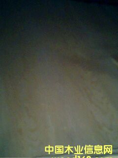 ��ľ��Ƥ��Ԕ��(x��)��B