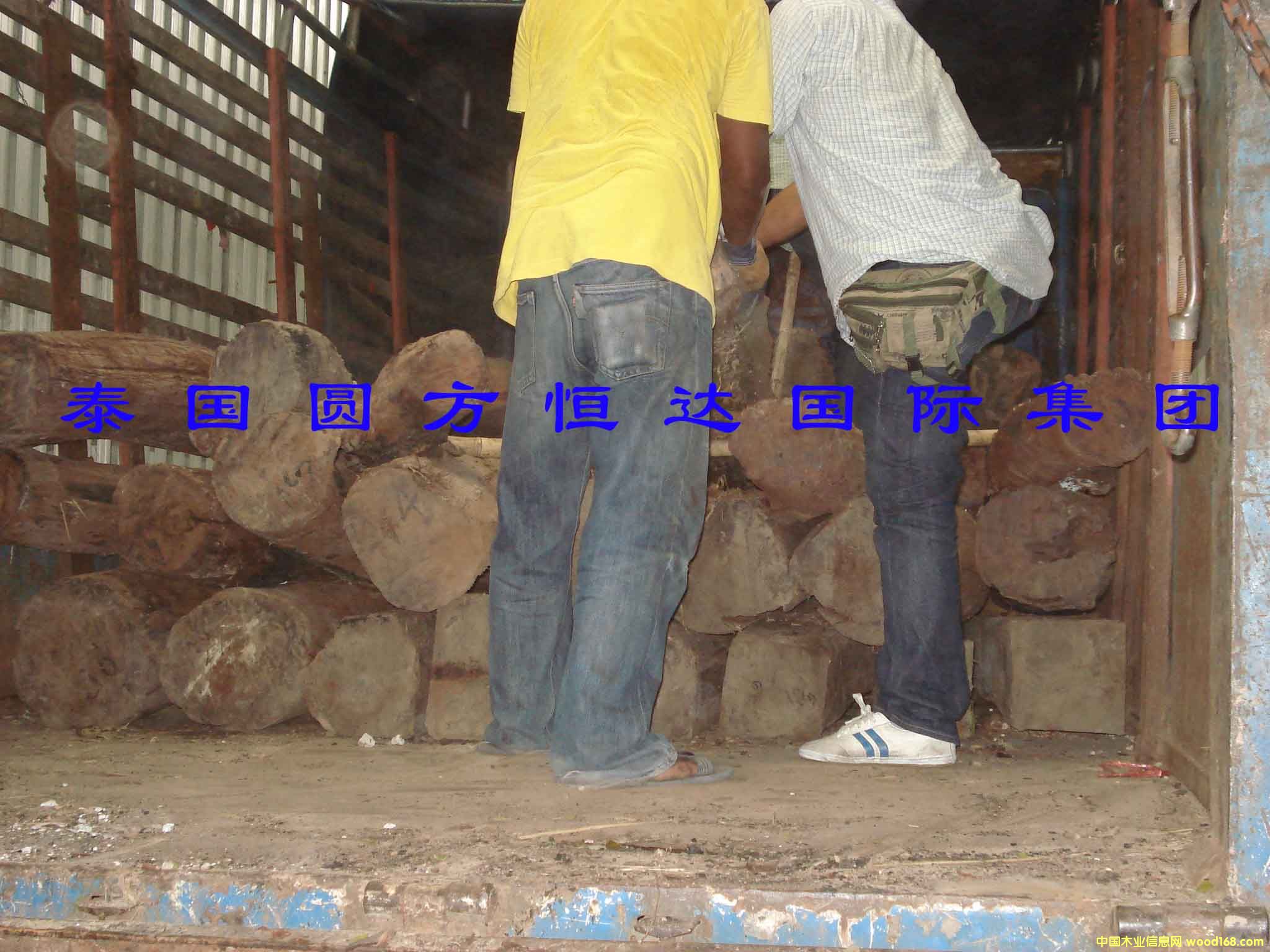 ��t��֦��Ԕ����B