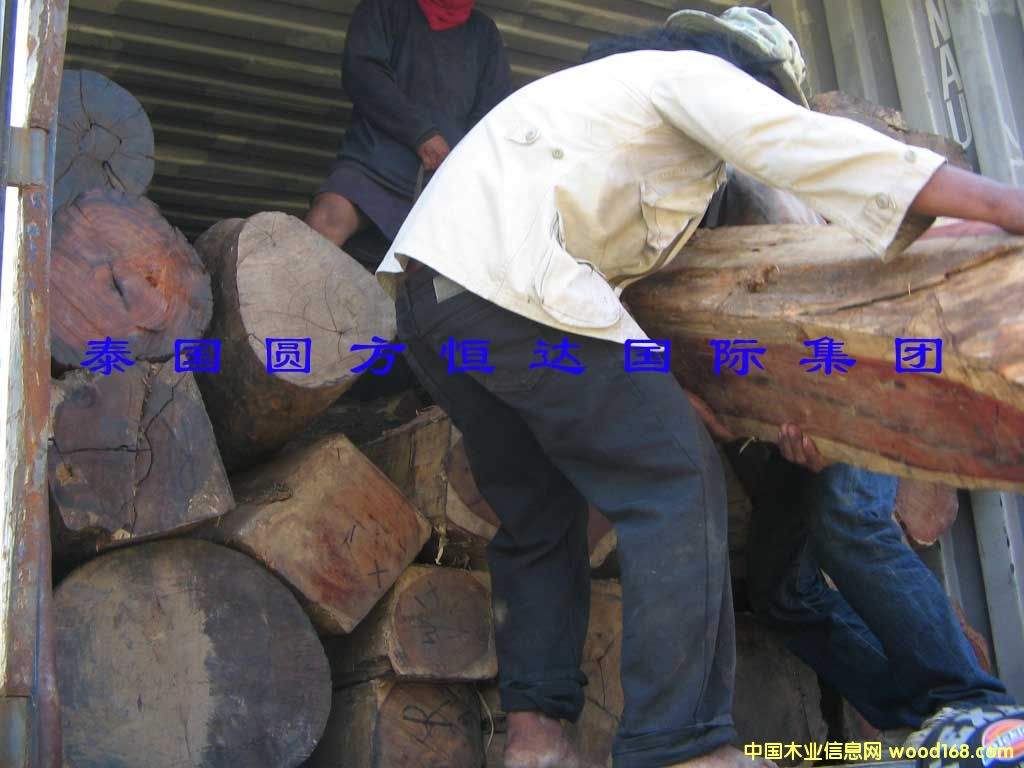 ��t��֦��Ԕ����B