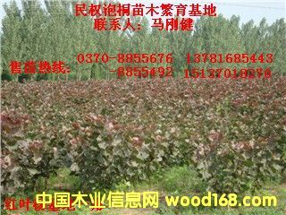 �c(di��n)���鿴�t�~��Ŵ�DƬ