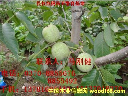 �c(di��n)���鿴������Ŵ�DƬ