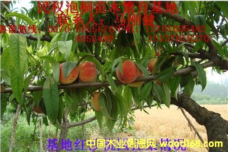 �c(di��n)���鿴�Ҙ�(sh��)��Ŵ�DƬ