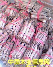 �c(di��n)���鿴��ͩ���Ŵ�DƬ