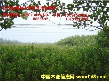 �c(di��n)���鿴107���(sh��)��Ŵ�DƬ