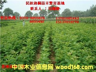 �c(di��n)���鿴����(sh��)��Ŵ�DƬ