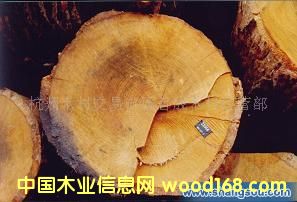 ԭľ��Ԕ��(x��)��B