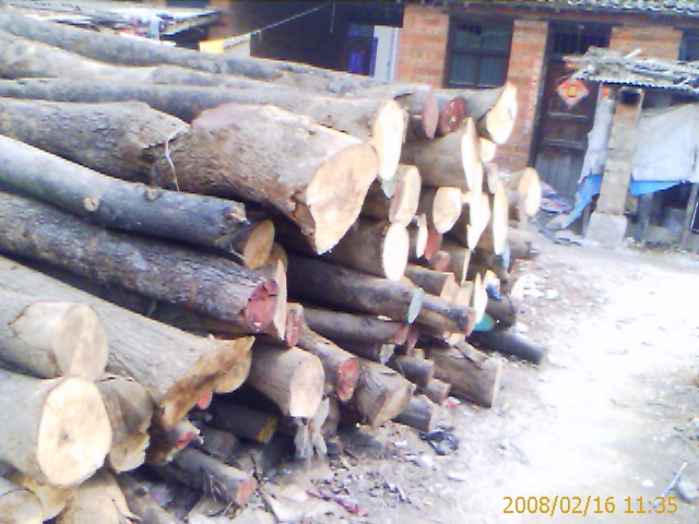 �c(di��n)���鿴����ľ�Ŵ�DƬ