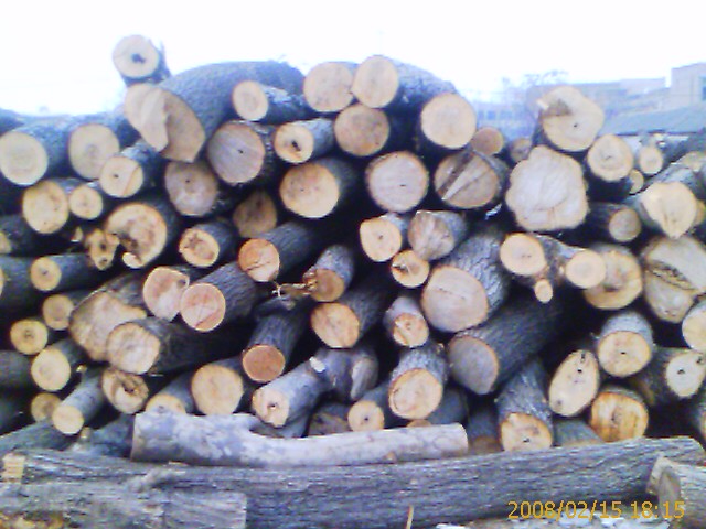 �c(di��n)���鿴��ľԭľ�Ŵ�DƬ