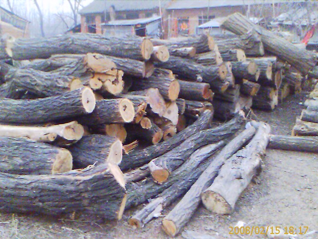 �c(di��n)���鿴�ľԭľ�Ŵ�DƬ