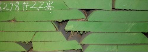 �c���鿴����ľ��ľ���Ŵ�DƬ