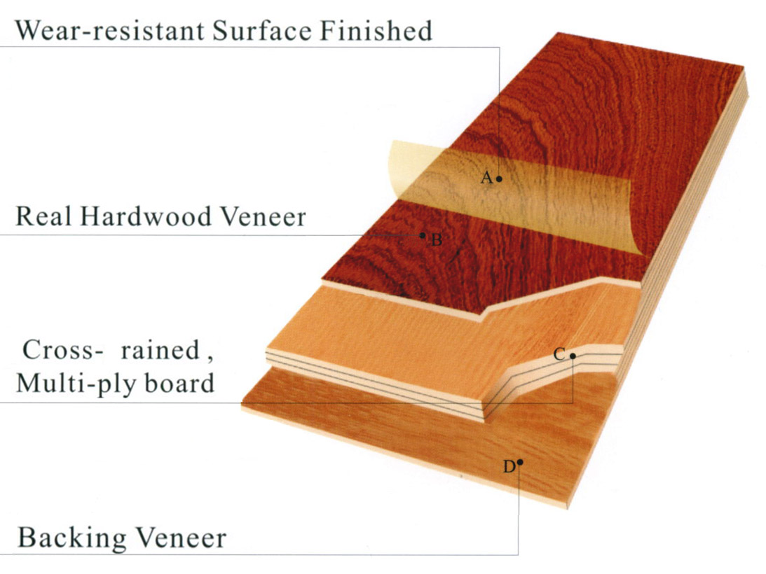 �c(di��n)���鿴��ľ��(f��)�ϵذ�Ŵ�DƬ