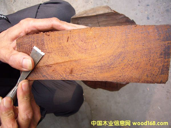 �c���鿴��z骷Ŵ�DƬ