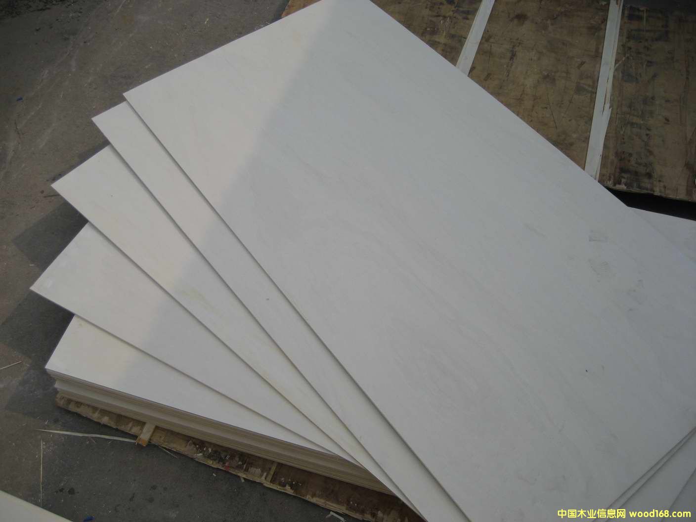 �c���鿴ȫ��ľ�Ҿ��Ŵ�DƬ