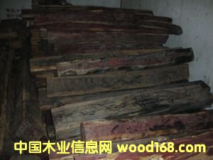 �c���鿴ľƤ��߅�l�Ŵ�DƬ