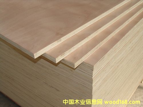 �c���鿴��ľ�z�ϰ�Ŵ�DƬ