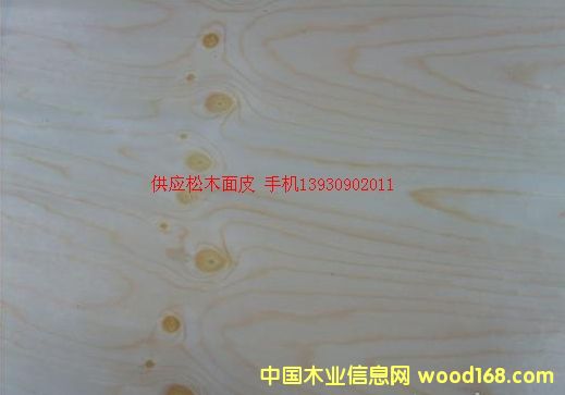 ��ľƤ��Ԕ����B