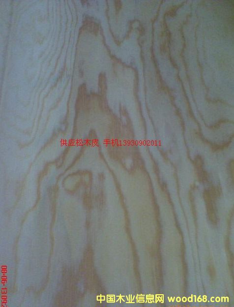 ��ľƤ��Ԕ����B