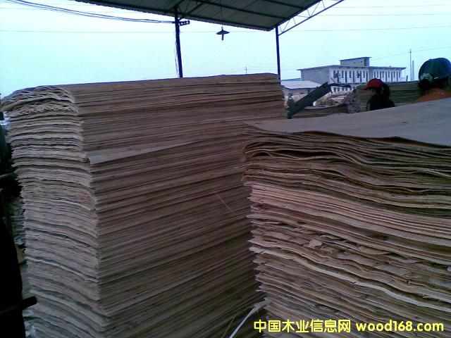 ��ľ�ΰ��Ԕ��(x��)��B