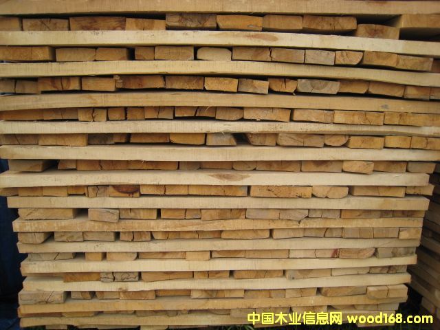 �c(di��n)���鿴��ľ�Ŵ�DƬ