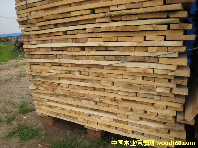 �c(di��n)���鿴��ľ�Ŵ�DƬ