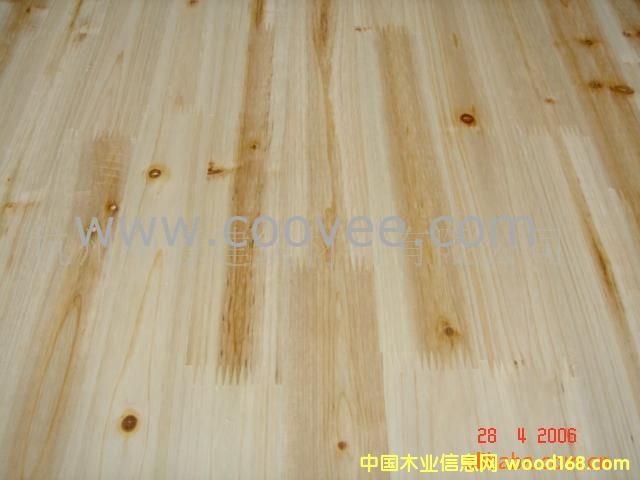 �c���鿴���ɲŷŴ�DƬ