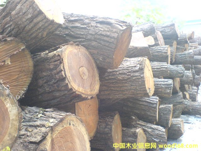 Ӳ�S̴[������֦]��Ԕ��(x��)��B