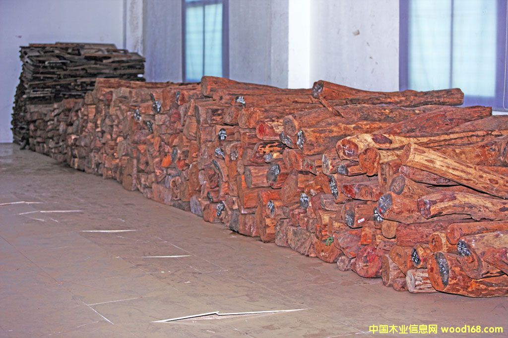 Խ���S�����Ԕ����B