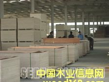 �c���鿴��ľ�z�ϰ�Ŵ�DƬ