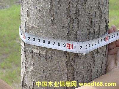 ��������Ԕ��(x��)��B