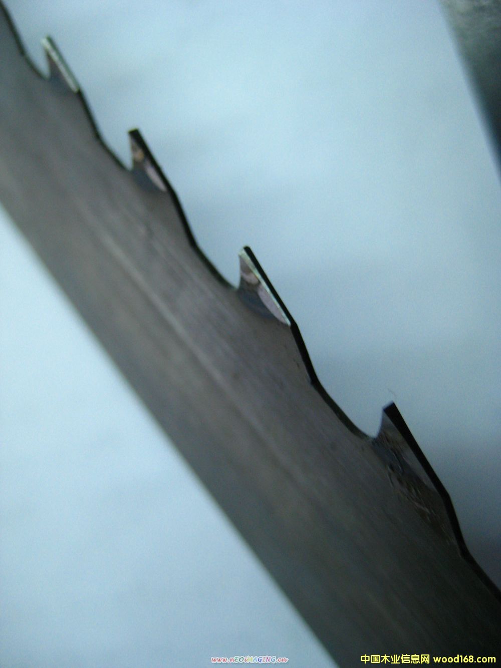 ��䏗l��Ԕ����B