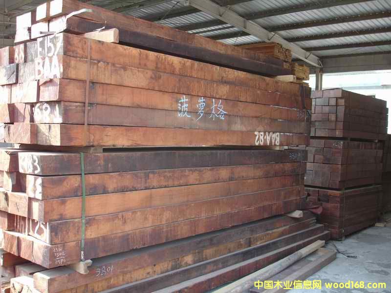 ���_���Ԕ����B