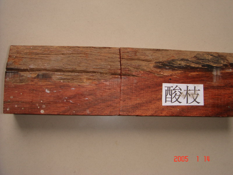 ������֦ľ��Ԕ��(x��)��B