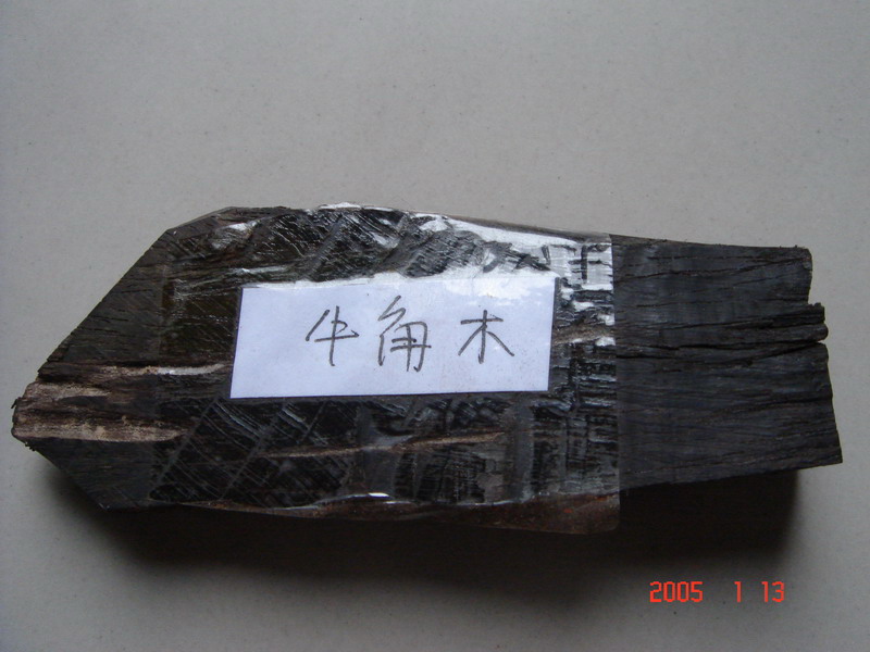 �ϓ�ţ��ľ��Ԕ��(x��)��B