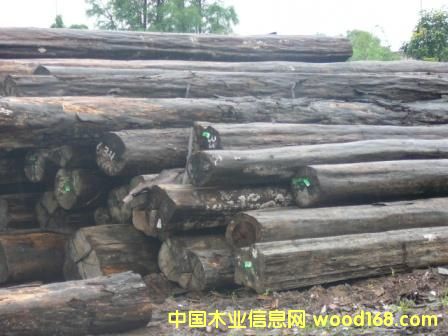 �c���鿴�Fľ���Ŵ�DƬ