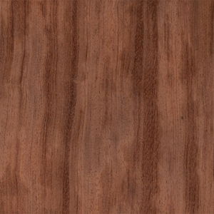 ����ľľƤ��Ԕ��(x��)��B