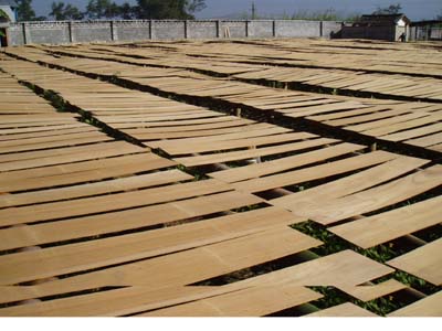 �c���鿴��ľ�ذ��Ƥ��Ƭ�Ŵ�DƬ